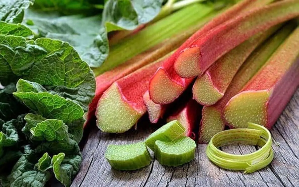 خواص معجزه آسای این گیاه برای سلامت بدن