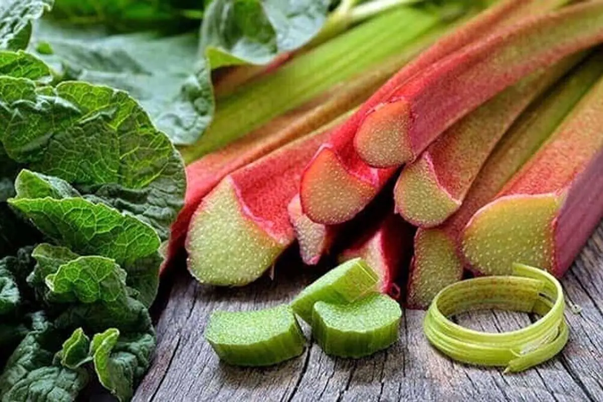 خواص معجزه آسای این گیاه برای سلامت بدن