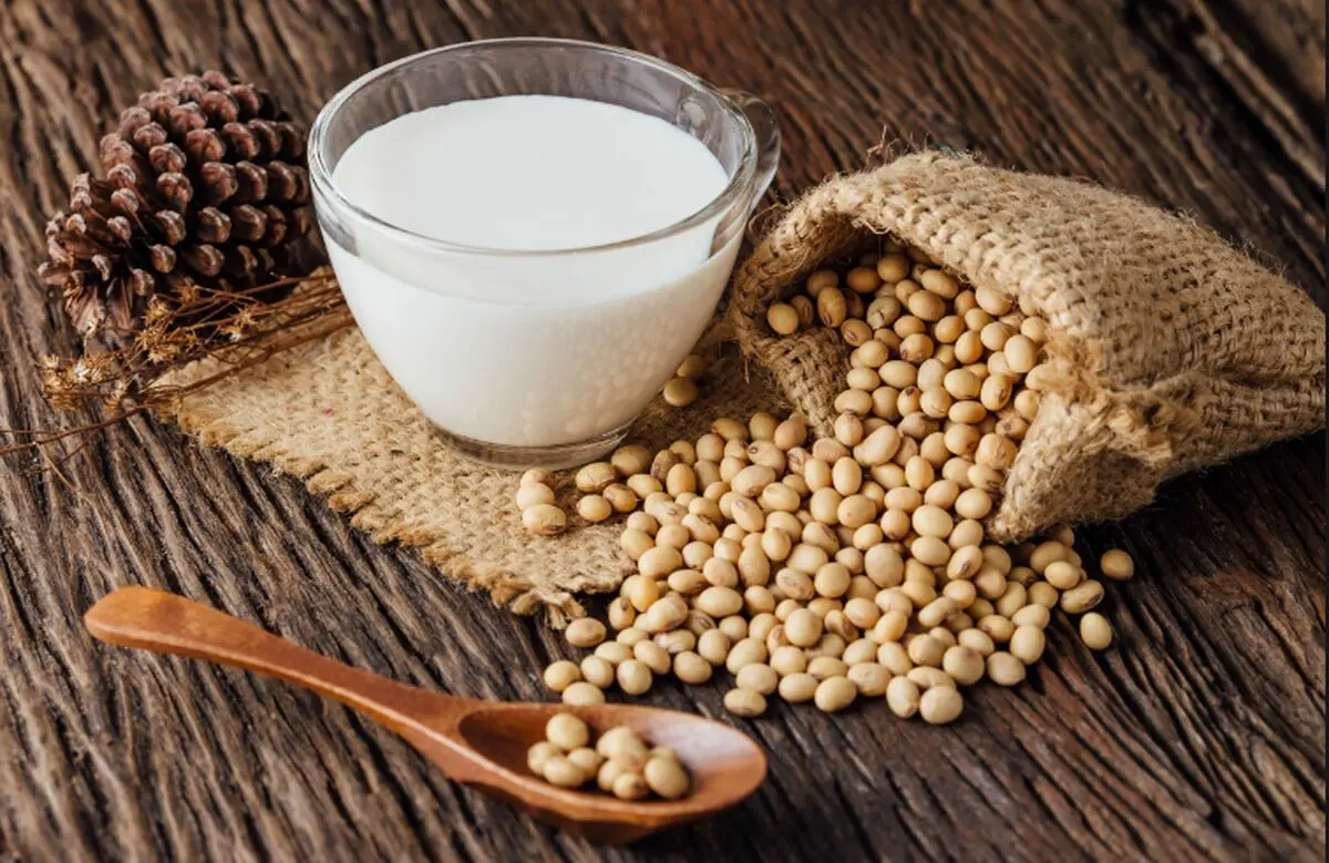 ۸ غذای گیاهی سرشار از ویتامین B ۱۲