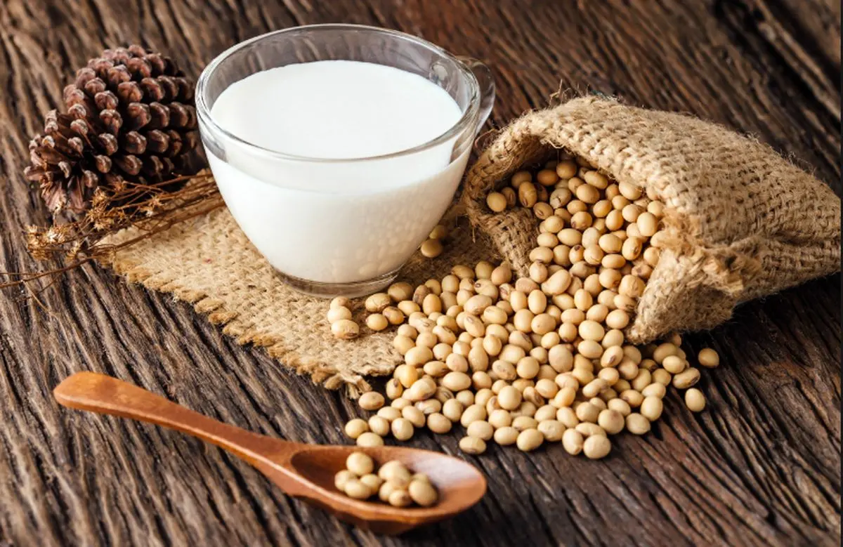 ۸ غذای گیاهی سرشار از ویتامین B ۱۲
