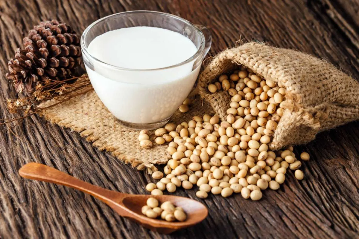 ۸ غذای گیاهی سرشار از ویتامین B ۱۲