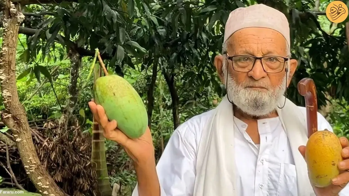(ویدئو) سلطانِ انبه در جهان؛ قلب و مغز من در انبه است!