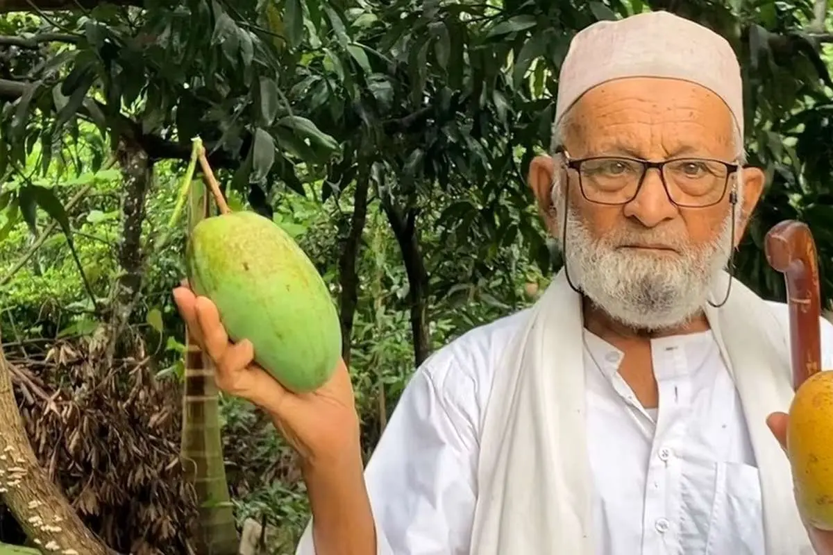 (ویدئو) سلطانِ انبه در جهان؛ قلب و مغز من در انبه است!