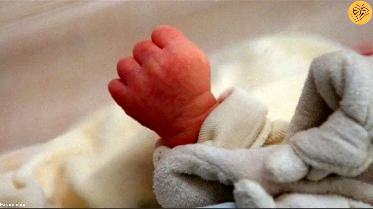 (عکس) نجات نوزاد رها شده در زباله توسط یک سگ