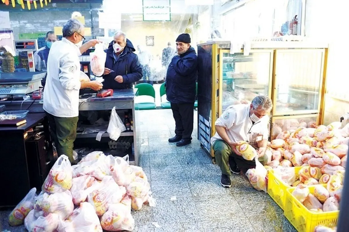 چهار پیشنهاد برای موفقیت طرح توزیع مرغ و گوشت وارداتی