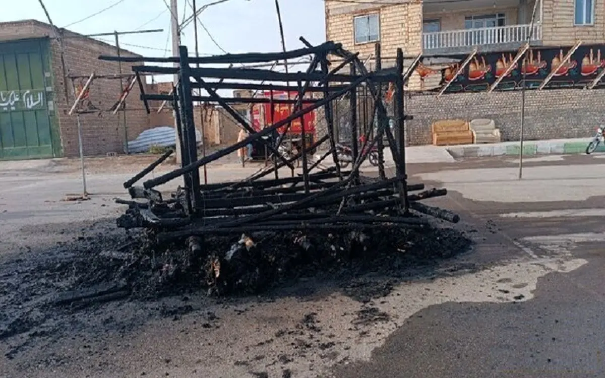 دستگیری عاملان سوزاندن نخل تاریخی اردستان