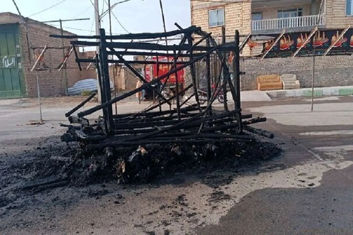 دستگیری عاملان سوزاندن نخل تاریخی اردستان