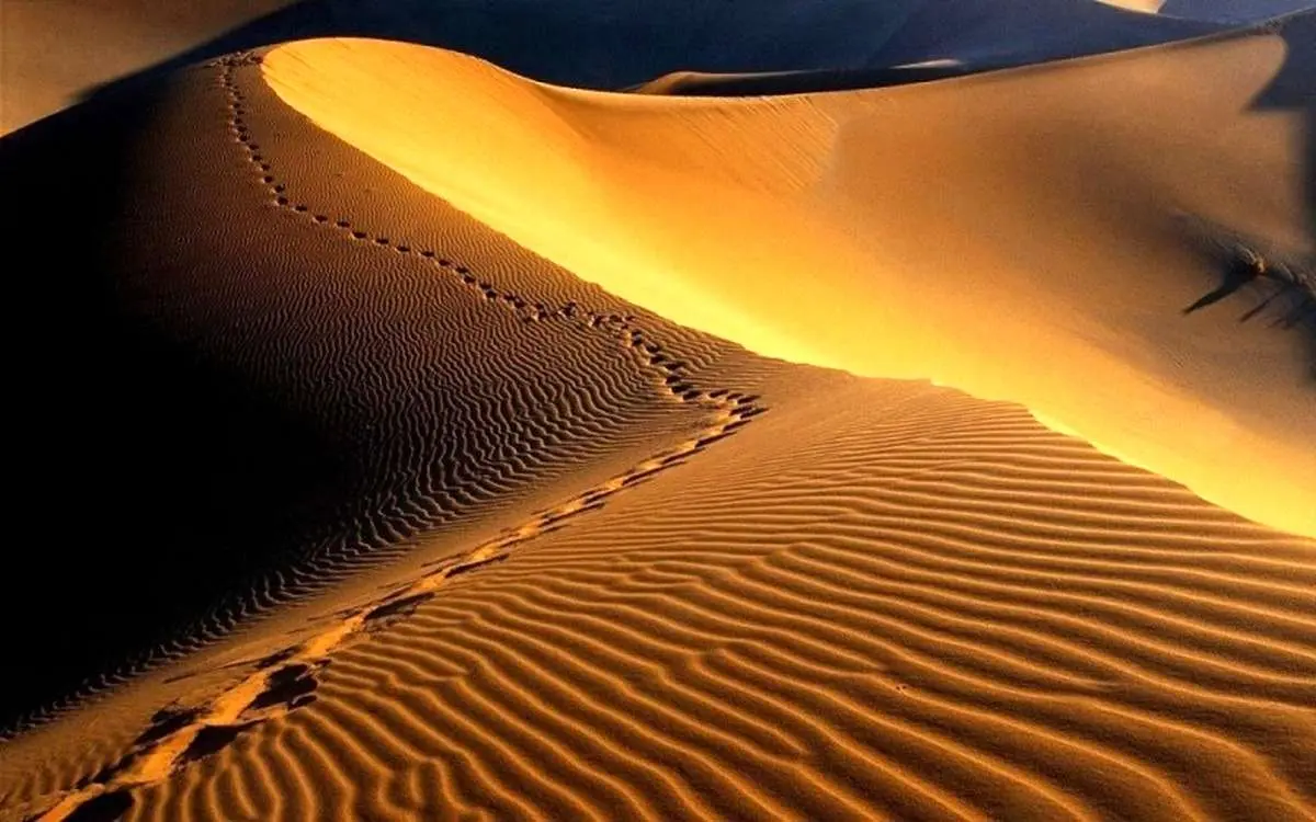 گرمترین نقطه دنیا در ایران؛ اینجا حتی باکتری هم زنده نمیماند!