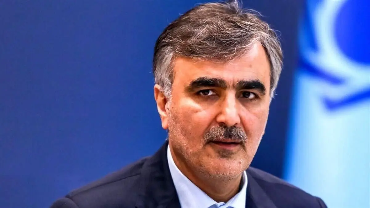 (ویدئو) فرزین: تورم امسال به کانال ۳۰ درصد می‌رسد