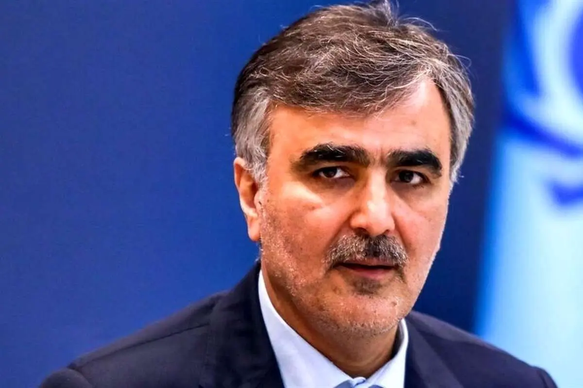 (ویدئو) فرزین: تورم امسال به کانال ۳۰ درصد میرسد