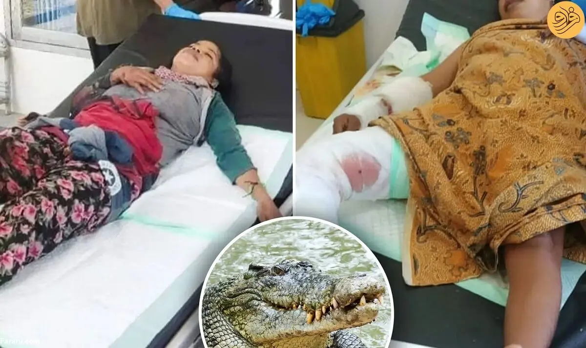 (ویدئو) نجات معجزه‌آسای یک زن از دست تمساح