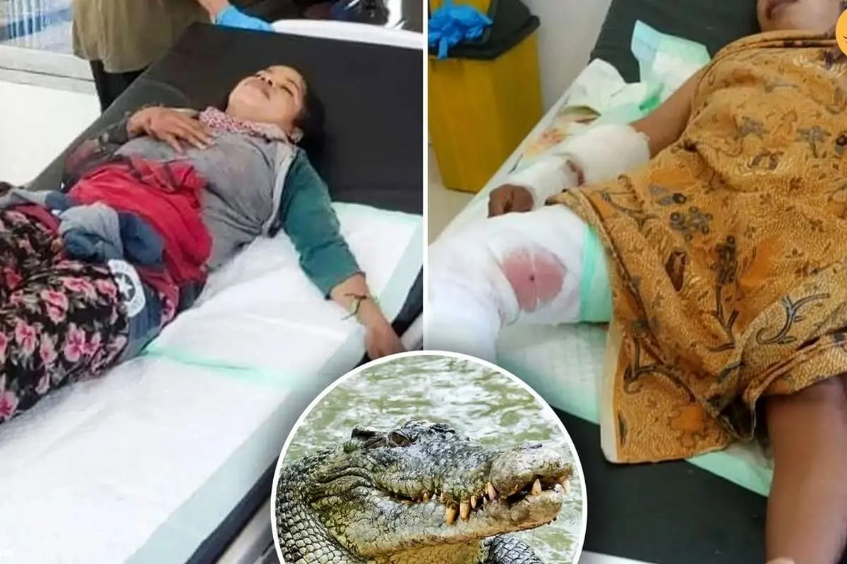 (ویدئو) نجات معجزهآسای یک زن از دست تمساح