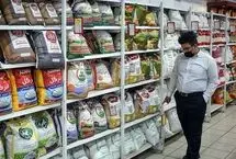 کشاورزان از فروش برنج منصرف شدند