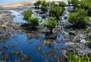 ۹۰هزار مترمربع از دریای جنوب نفتی شد/ چه کسی باید خسارت‌ها را جبران کند؟

