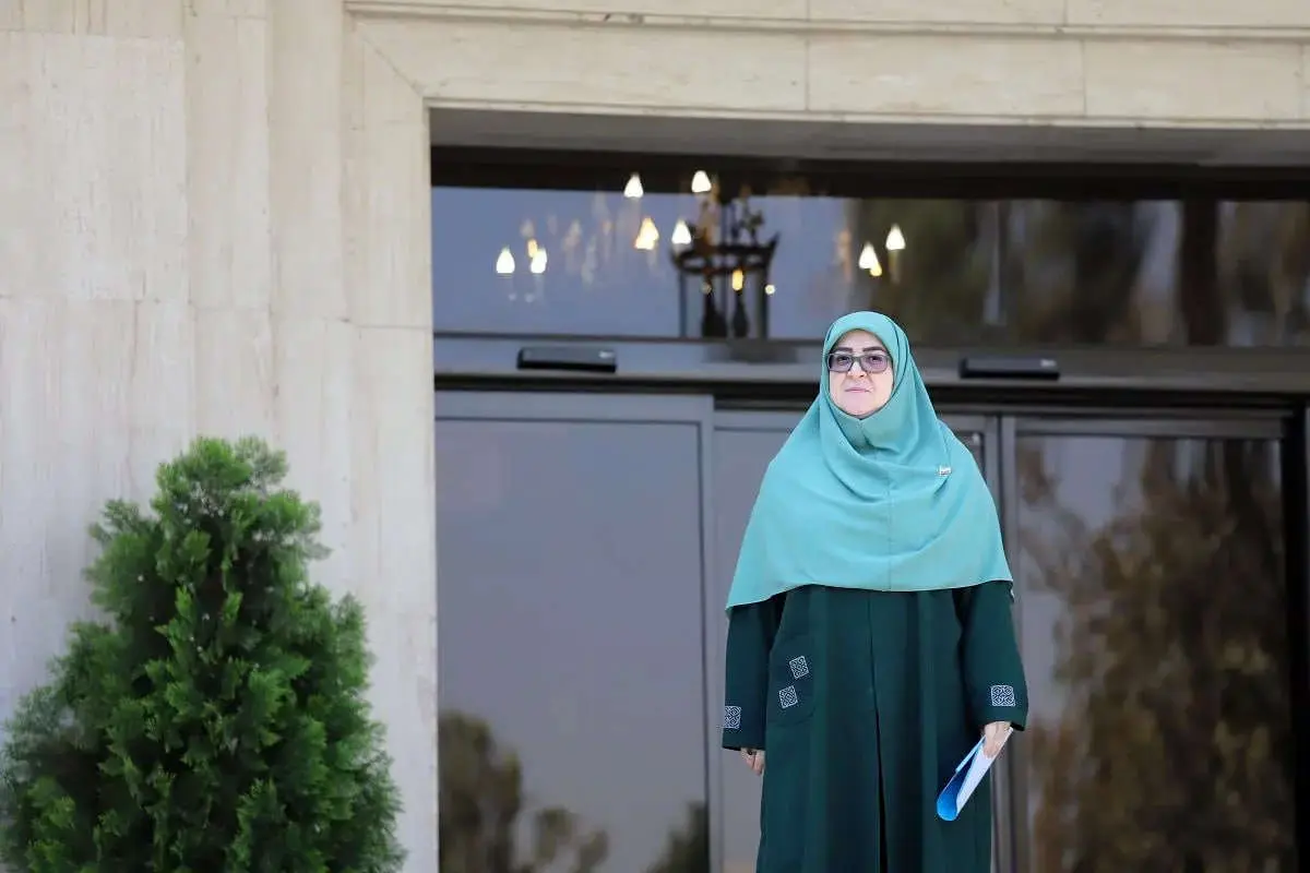 مهاجرانی: دولت مصوبهای در خصوص بنزین نداشته است