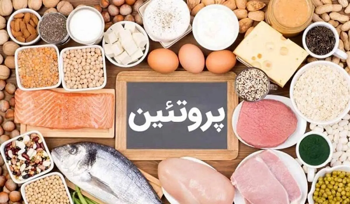 با پروتئین حیوانی لاغر می‌شویم یا گیاهی؟!