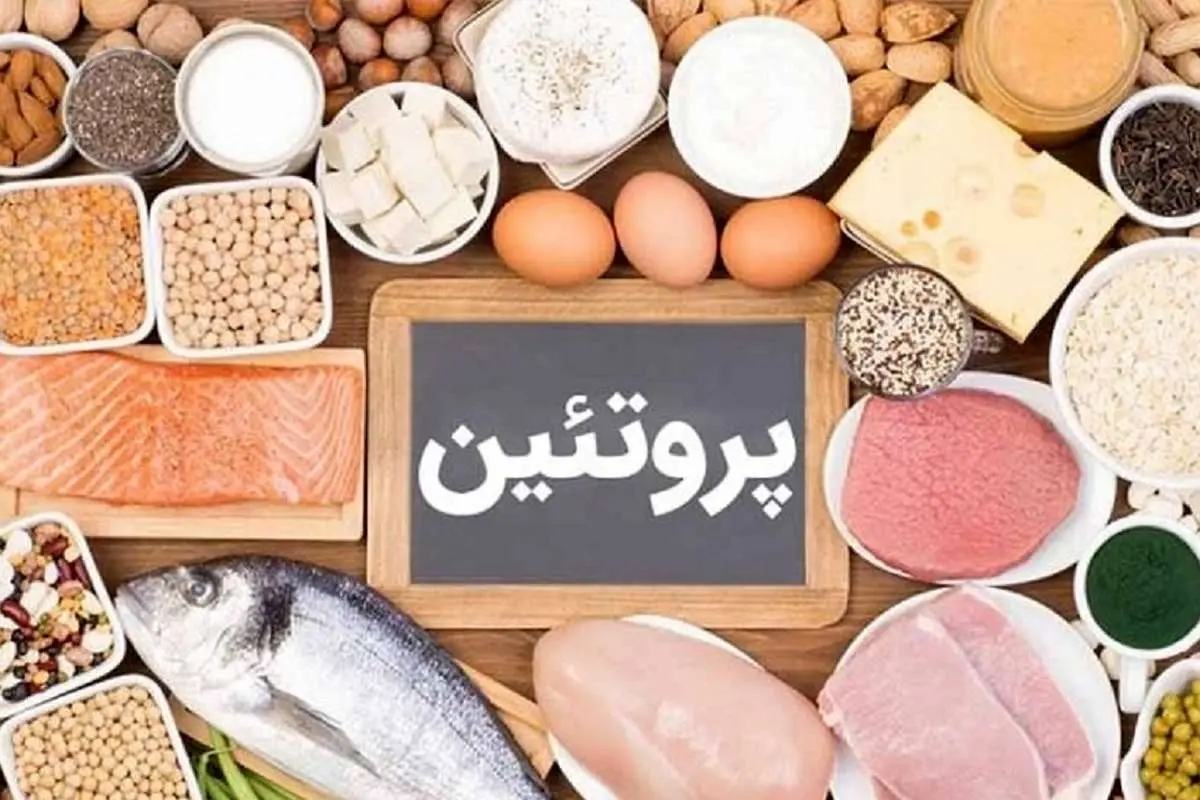 با پروتئین حیوانی لاغر می‌شویم یا گیاهی؟!