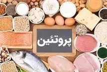 با پروتئین حیوانی لاغر می‌شویم یا گیاهی؟!