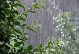 تصاویری زیبا از باران تابستانی در ارتفاعات دماوند