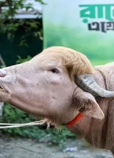 دونالد ترامپ از ذبح نجات یافت