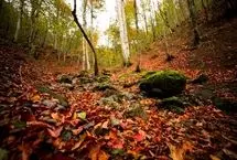 تصاویر؛ مسیر رویایی خلخال به اسالم
