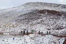 تصاویر؛ بارش برف پاییزی در شهمیرزاد