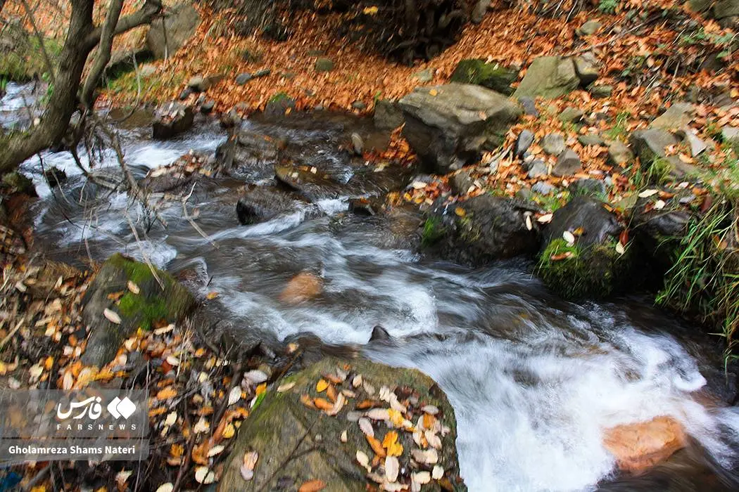 عکس صفحه گوشی پاییز