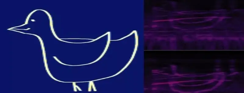 پررنده