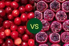 کرنبری یا انار؛ کدام‌یک ویتامین C و فیبر بیشتری دارد؟