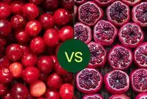 کرنبری یا انار؛ کدام‌یک ویتامین C و فیبر بیشتری دارد؟