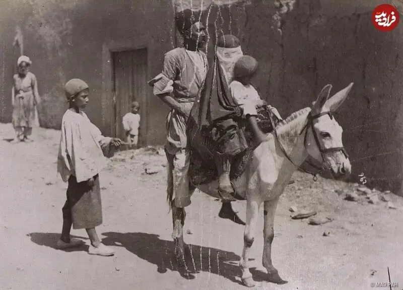 مرد تهرانی