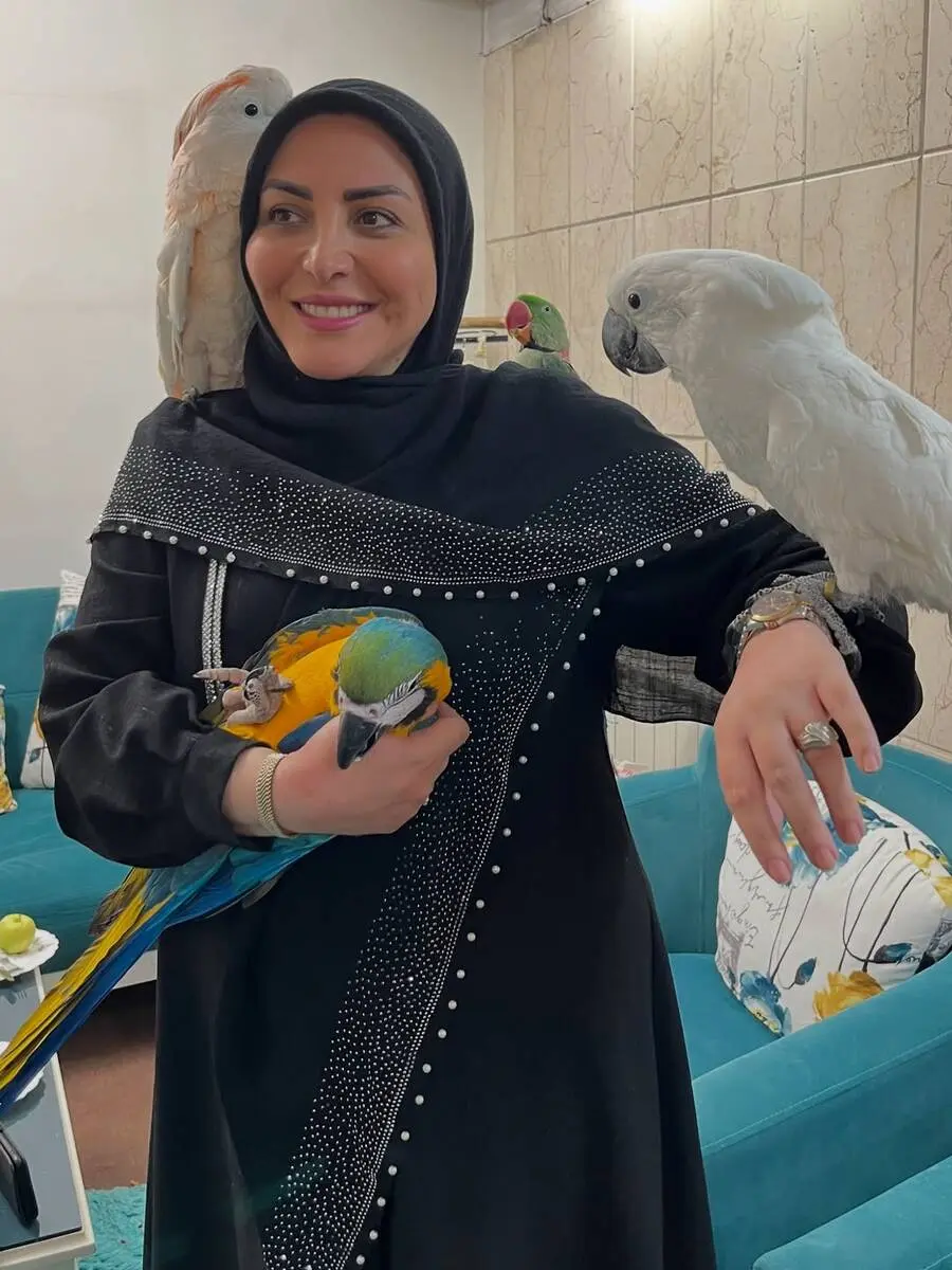 گالری