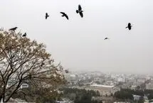 پیشبینی آب و هوای ایران از دوشنبه ۱۳ بهمن / یک روز انتقالی مهم