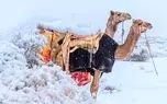 بارش برف در عربستان