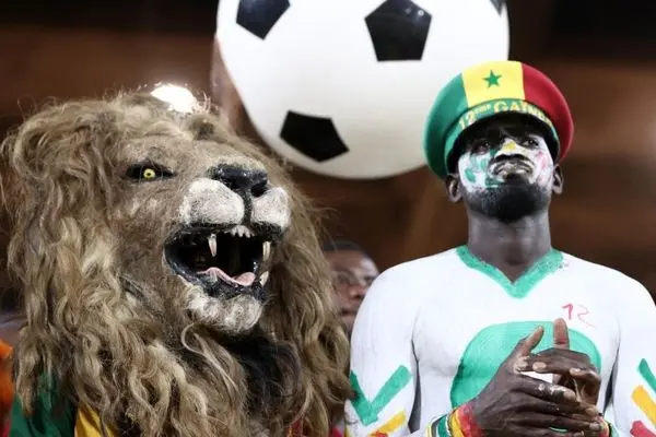 نمایش جام قهرمانی ملت‌های آفریقا مقابل یک شیر سفید 