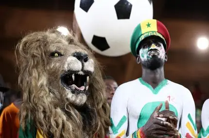 نمایش جام قهرمانی ملت‌های آفریقا مقابل یک شیر سفید 