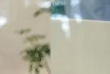 وام ۳۰۰ میلیونی بانک سپه؛ حقایقی که باید از تسهیلات فوری بدانید