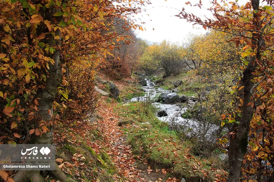 عکس صفحه گوشی پاییز