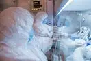 مرگ مرموز دختر ۲۸ ساله در آزمایشگاه سیبری؛ باکتری طاعون نشت کرده؟

