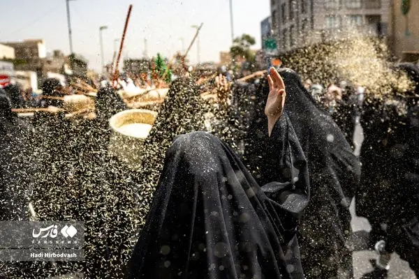 تصاویر؛ کاروان نمادین اسرای کربلا 