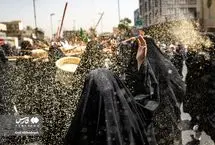 تصاویر؛ کاروان نمادین اسرای کربلا 