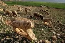 تصاویر؛ مرگ آرام شیرهای سنگی