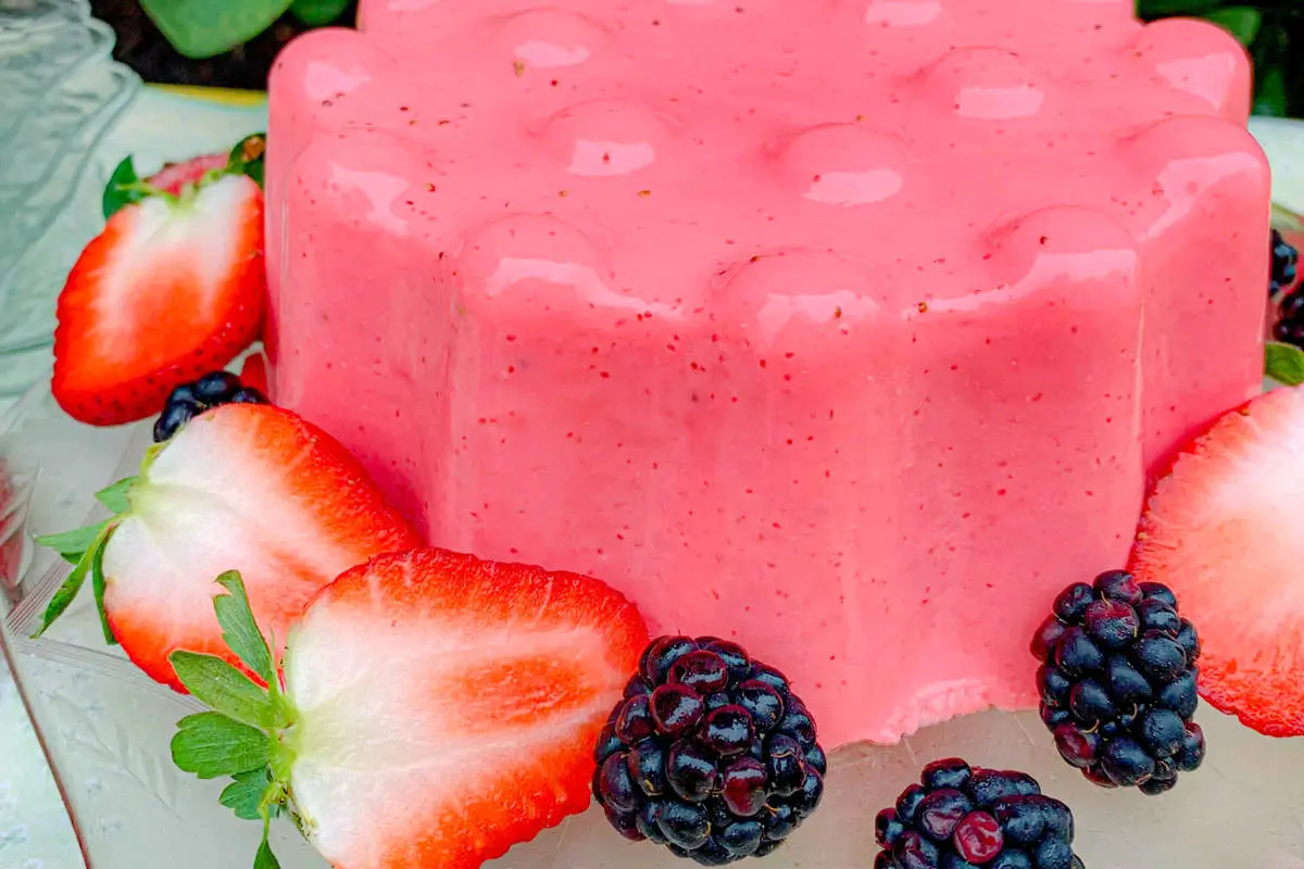 طرز تهیه دسر شانامو؛ دسر خنک برای روزهای گرم

