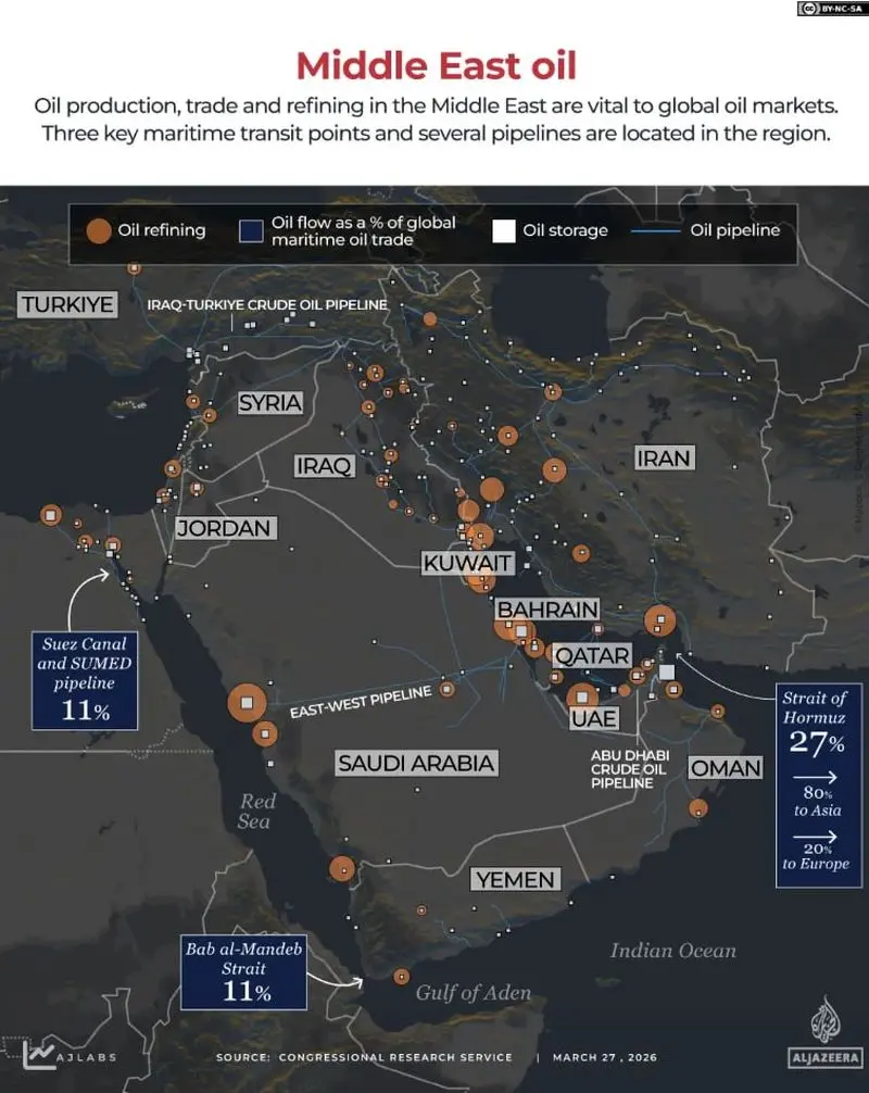 photo_2026-03-29_14-32-21