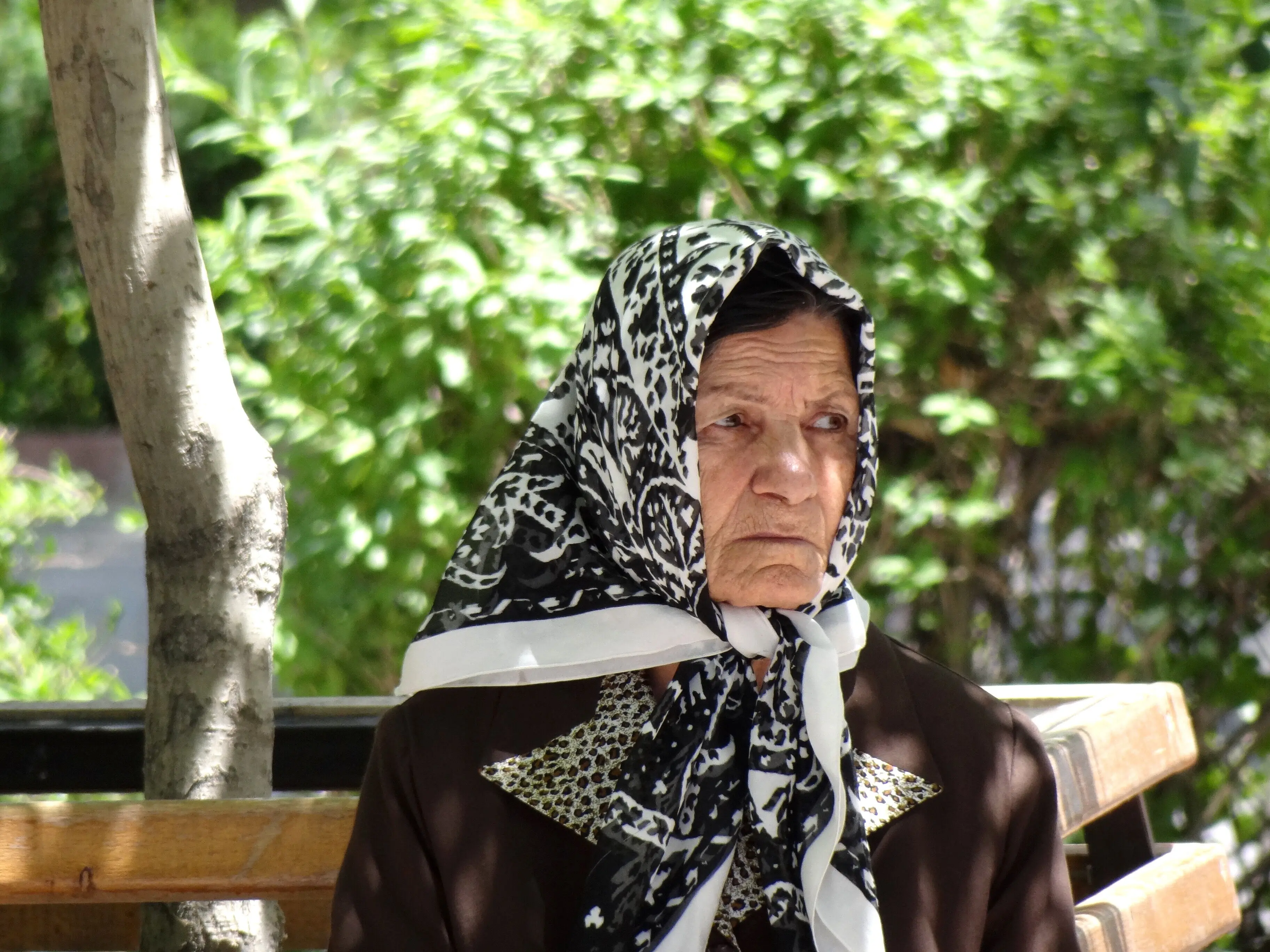 چگونه در شرایط جنگی از سالمندان حمایت کنیم؟!