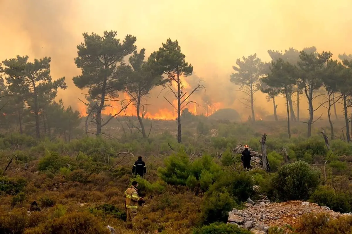 آتش، طبیعت و جرقه انسانی؛ چرخه تکرارشونده آتش‌سوزی جنگل‌ها از زاگرس تا ارسباران
