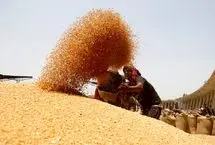 ذخایر غلات کشور چقدر است؟