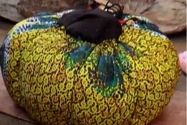  این کیسه سوپ می‌پزد!