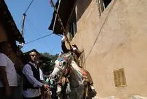 تصاویر؛ از کشتی محلی تا عروس‌کشان؛ کندلوس میزبان آیین فردینه‌ ماه