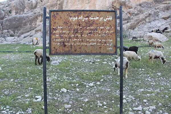پشم‌چینی گوسفندان کنار سنگ‌نگاره ساسانی!
